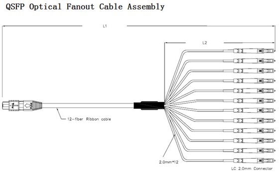 Singlemode MTP Fiber Trunk Cable MPO 48 Core OS2 Single Mode Jumper 32 Meter MPO Patch Cord